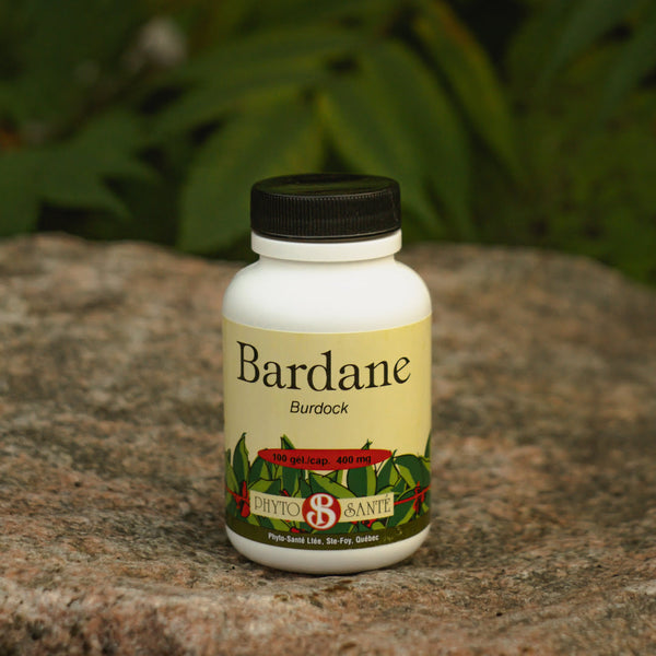 Bardane